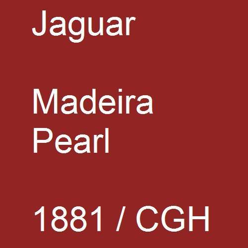 Jaguar, Madeira Pearl, 1881 / CGH.